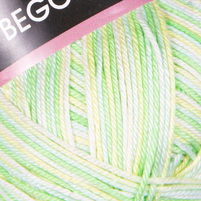 501 Begonia Melange